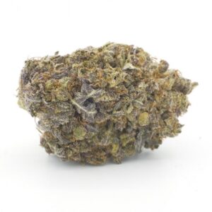 *New* H4L Purple Kong (28g) AAA