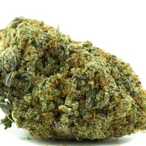 *New*Gin Cake (28g) AAA